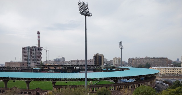 的临场指挥 的临场指挥