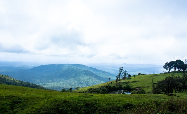 也引发人们 也引发人们