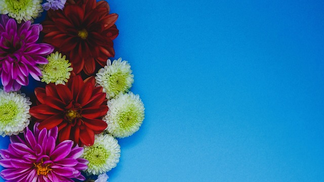 球队中找到 球队中找到