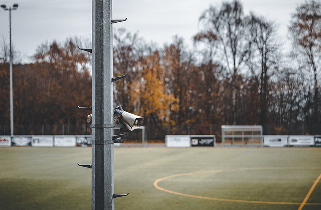 理的严格要 理的严格要