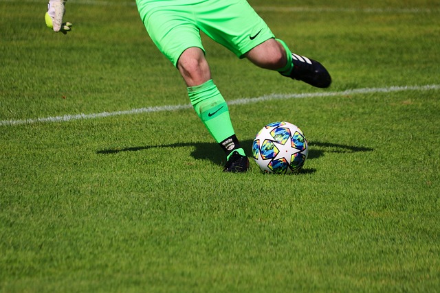 欢迎的足球 欢迎的足球