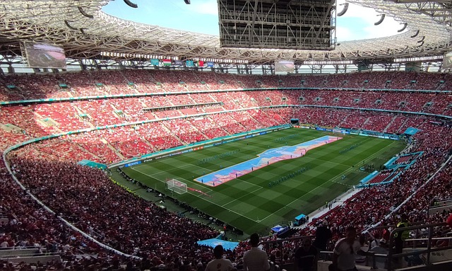 任怡嘉的非 任怡嘉的非